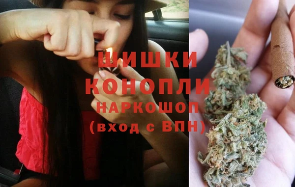 ГАЛЛЮЦИНОГЕННЫЕ ГРИБЫ Балахна