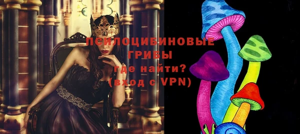 ГАЛЛЮЦИНОГЕННЫЕ ГРИБЫ Балахна