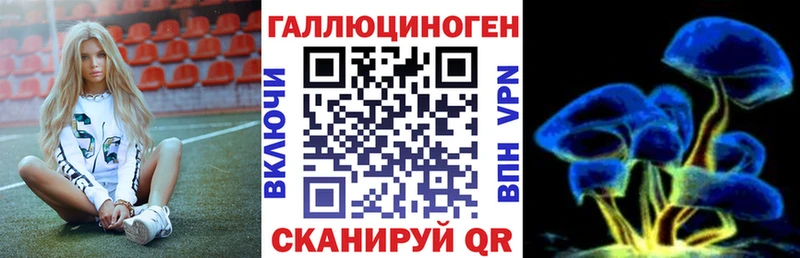 Галлюциногенные грибы Cubensis  закладки  Горбатов 