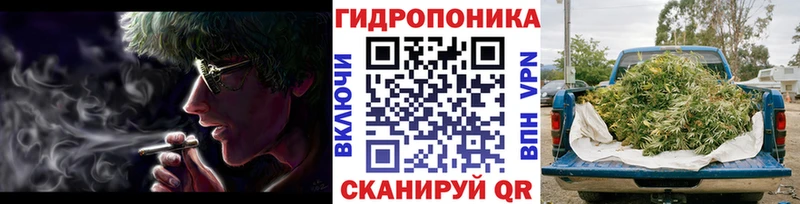 Шишки марихуана план Горбатов
